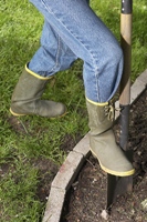 Digging in the garden photo